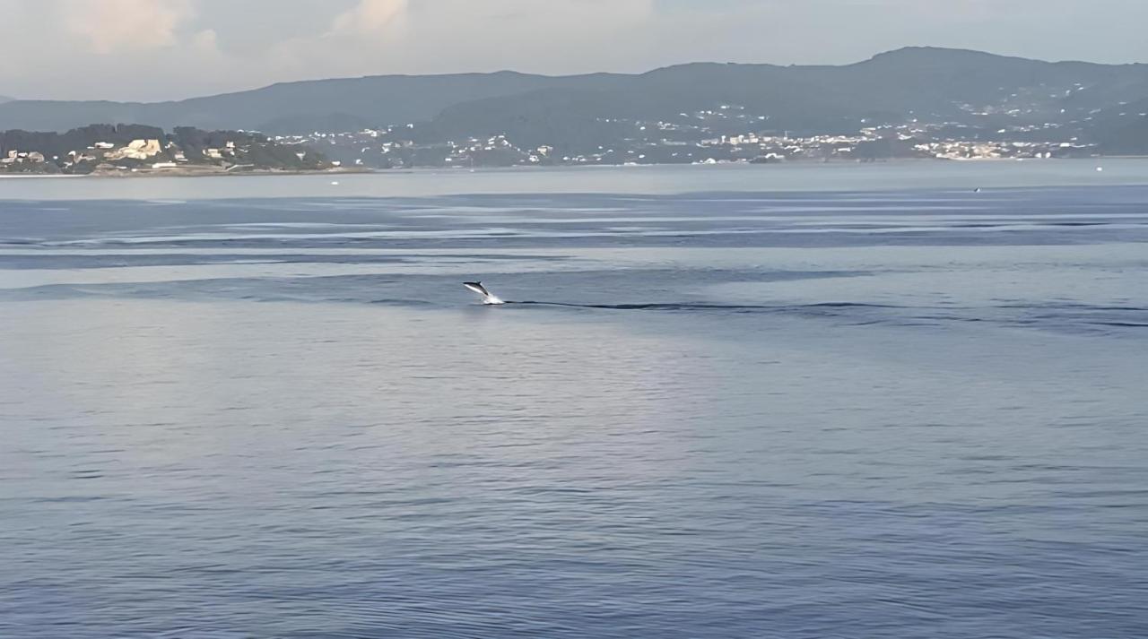 Piso Vacaciones En El Mar Lejlighed Sanxenxo Eksteriør billede