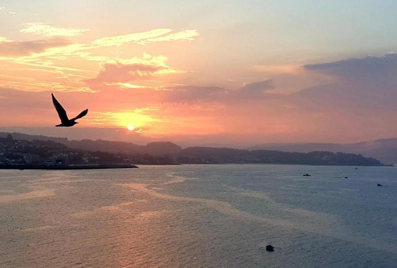 Piso Vacaciones En El Mar Lejlighed Sanxenxo Eksteriør billede